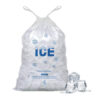 ICE BAG