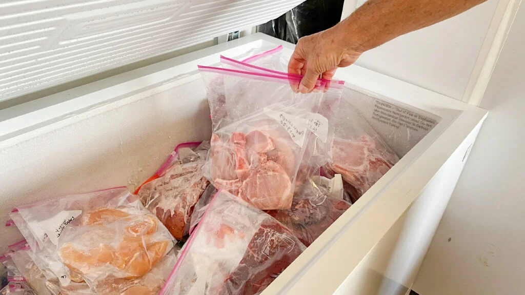 Why Should You Use Freezer Bags for Cold Storage of Food